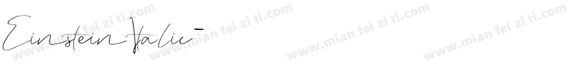 Einstein Italic字体转换